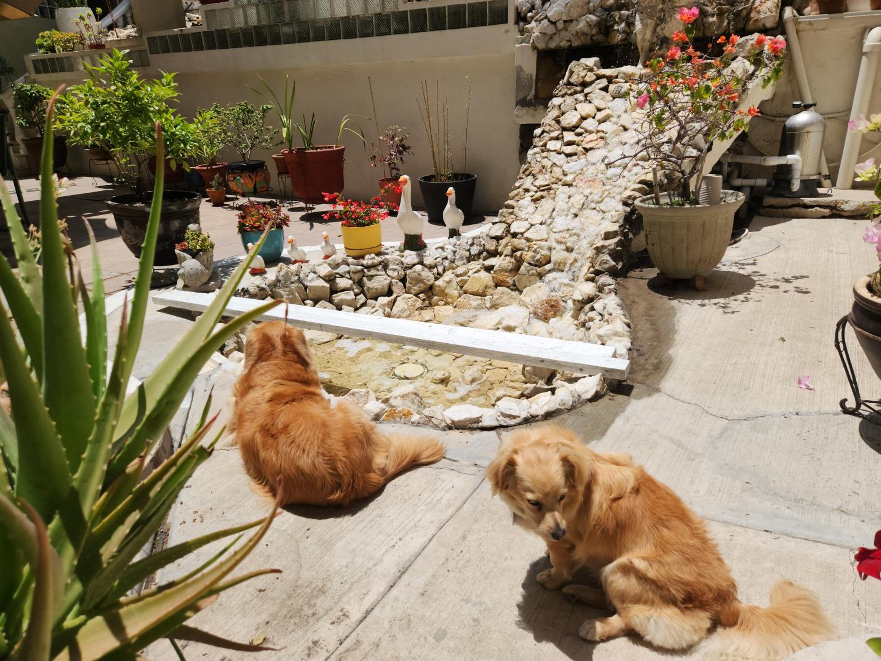 Sadie's Bed and Breakfast / Hotel
