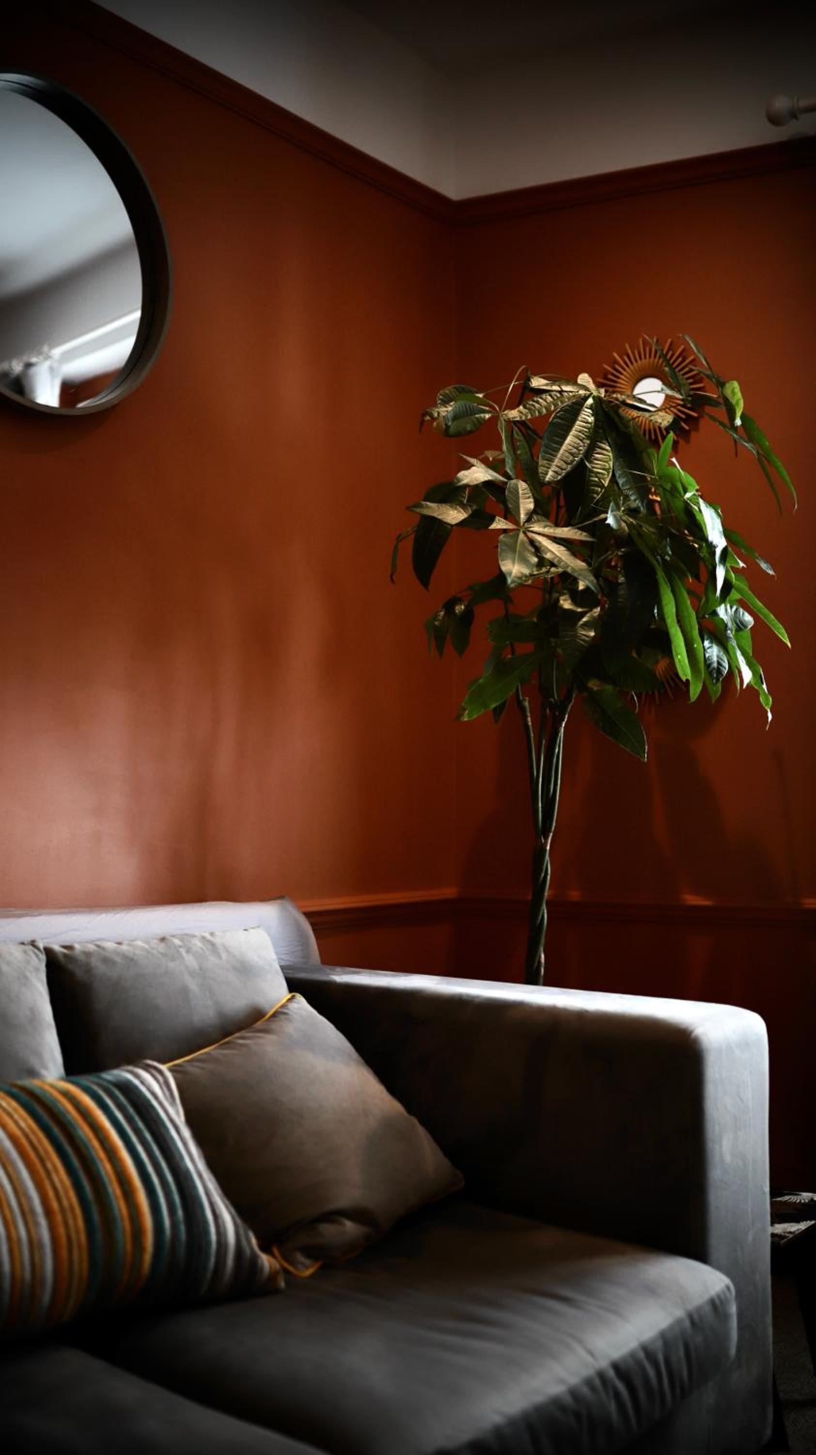 Unique & Stylish Town House, central Cheltenham view 2