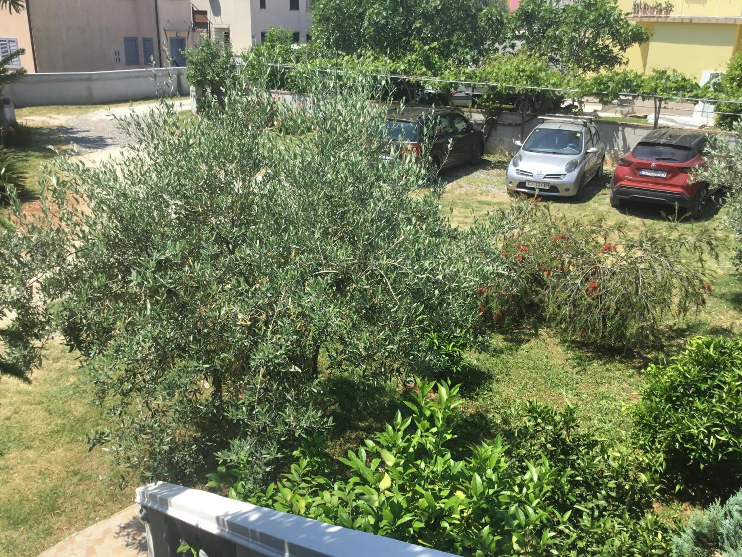Photo 41