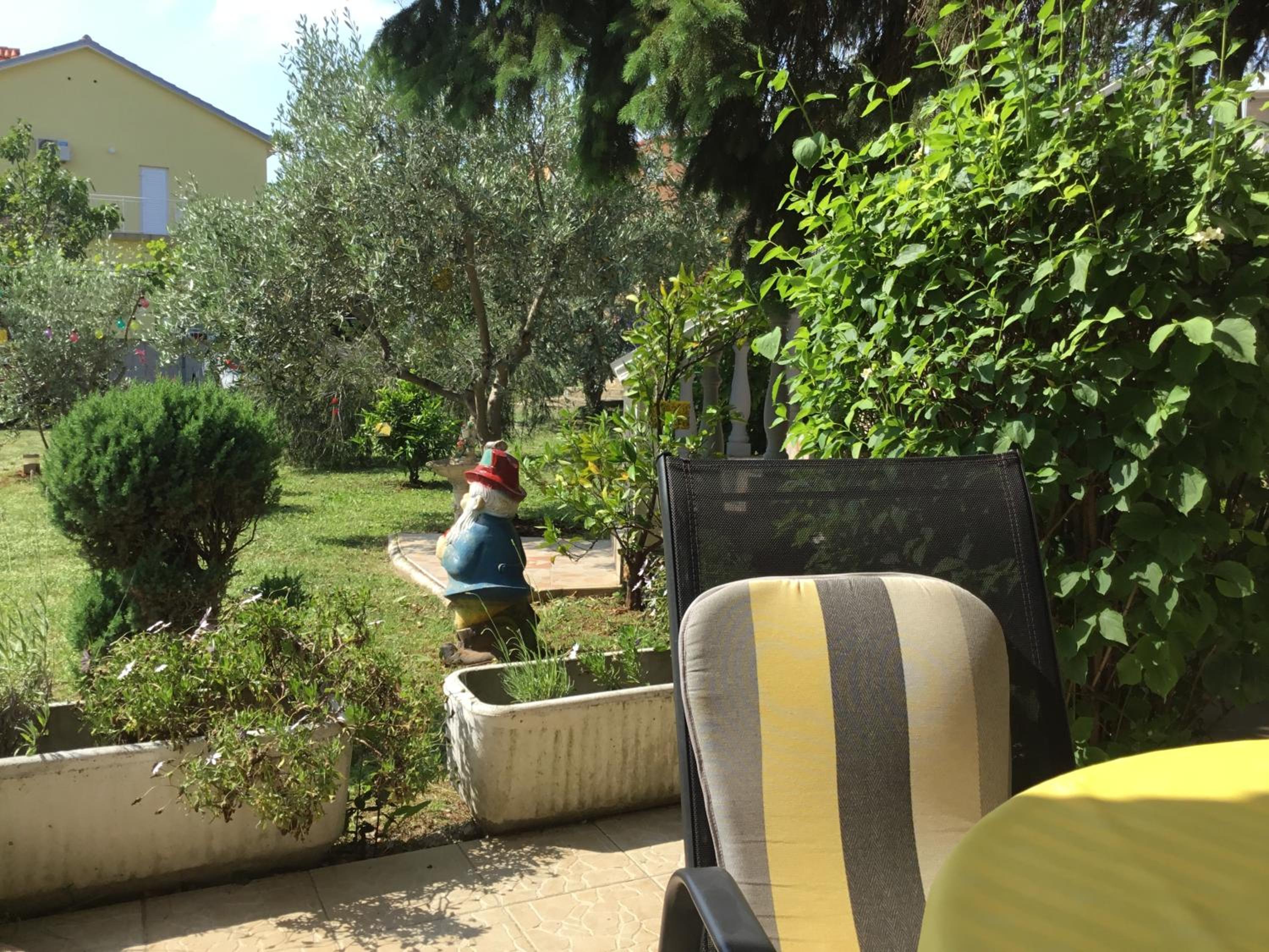 Photo 46