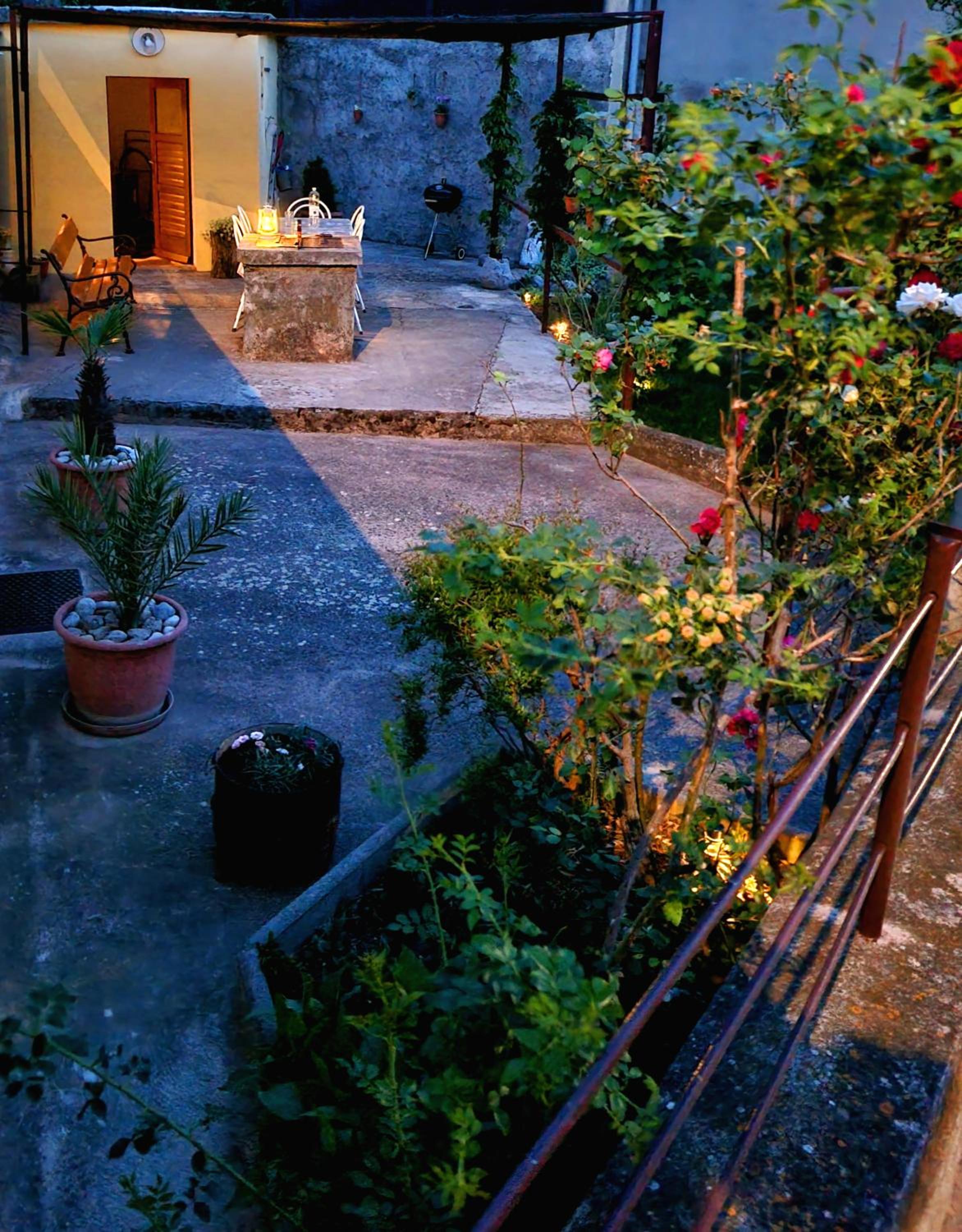Photo 20