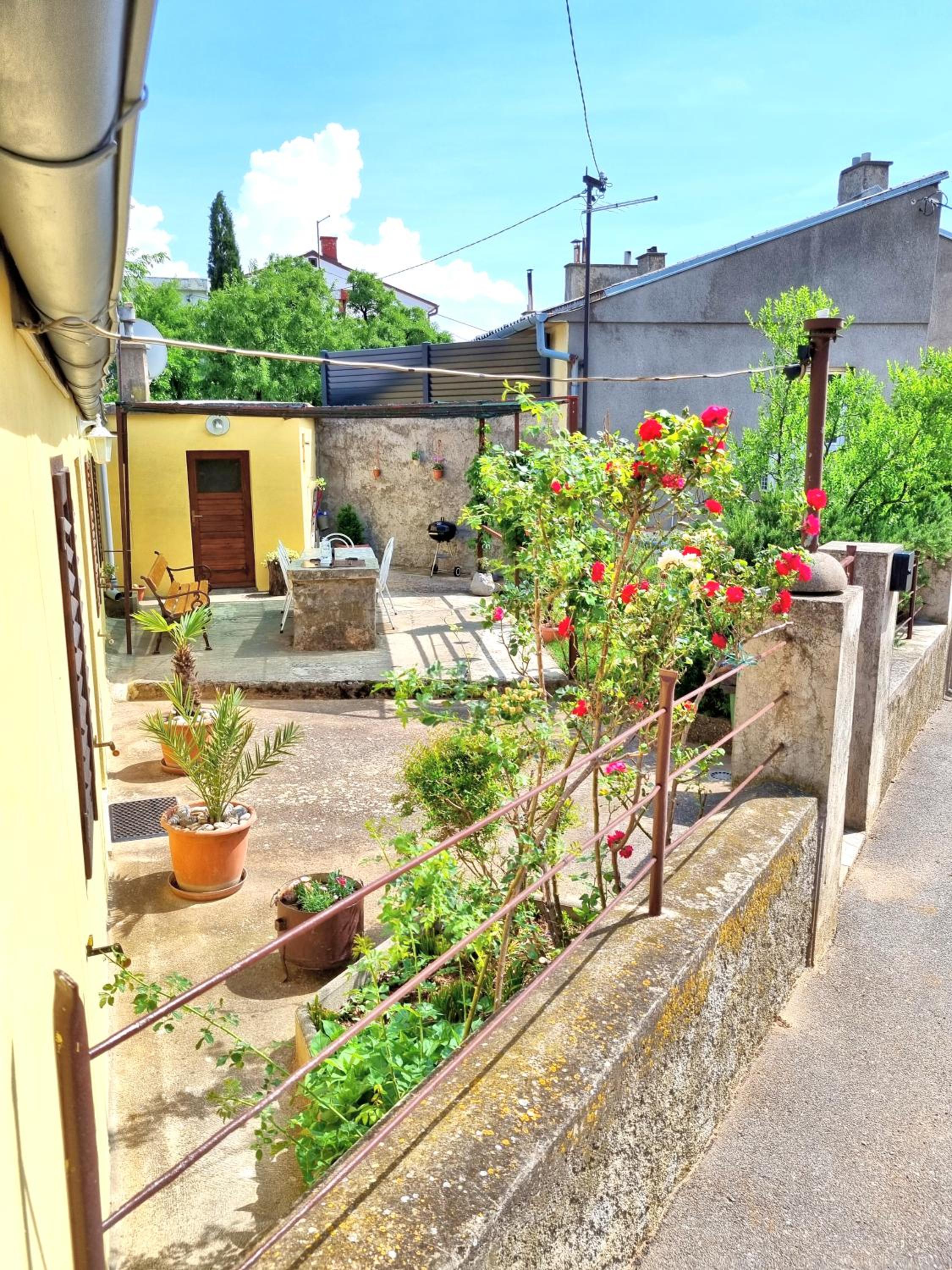 Photo 26