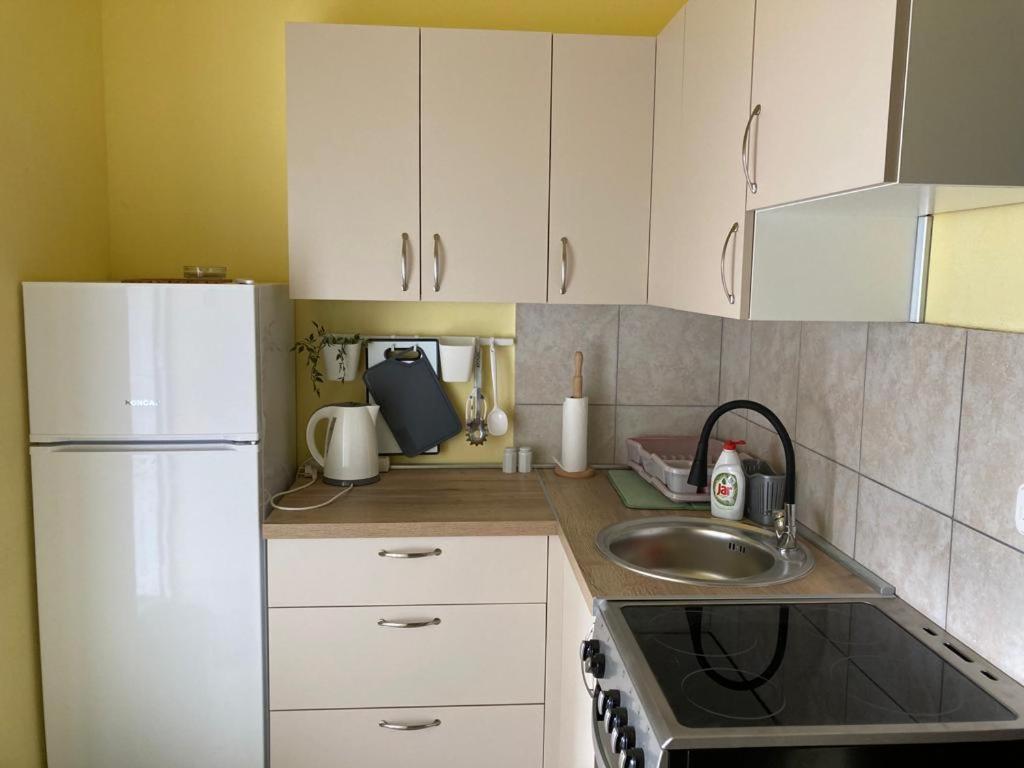 Apartmani Fijan