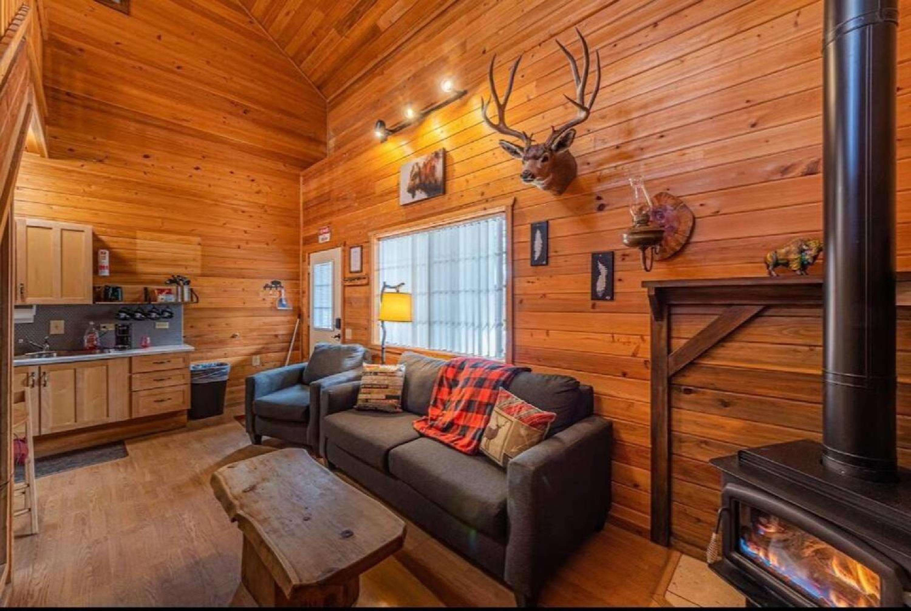 Payson Vacations - Cabin 1 Buffalo Herd -Pet Friendly - Sleeps 6 - Playground  Game Room - Property Image 1