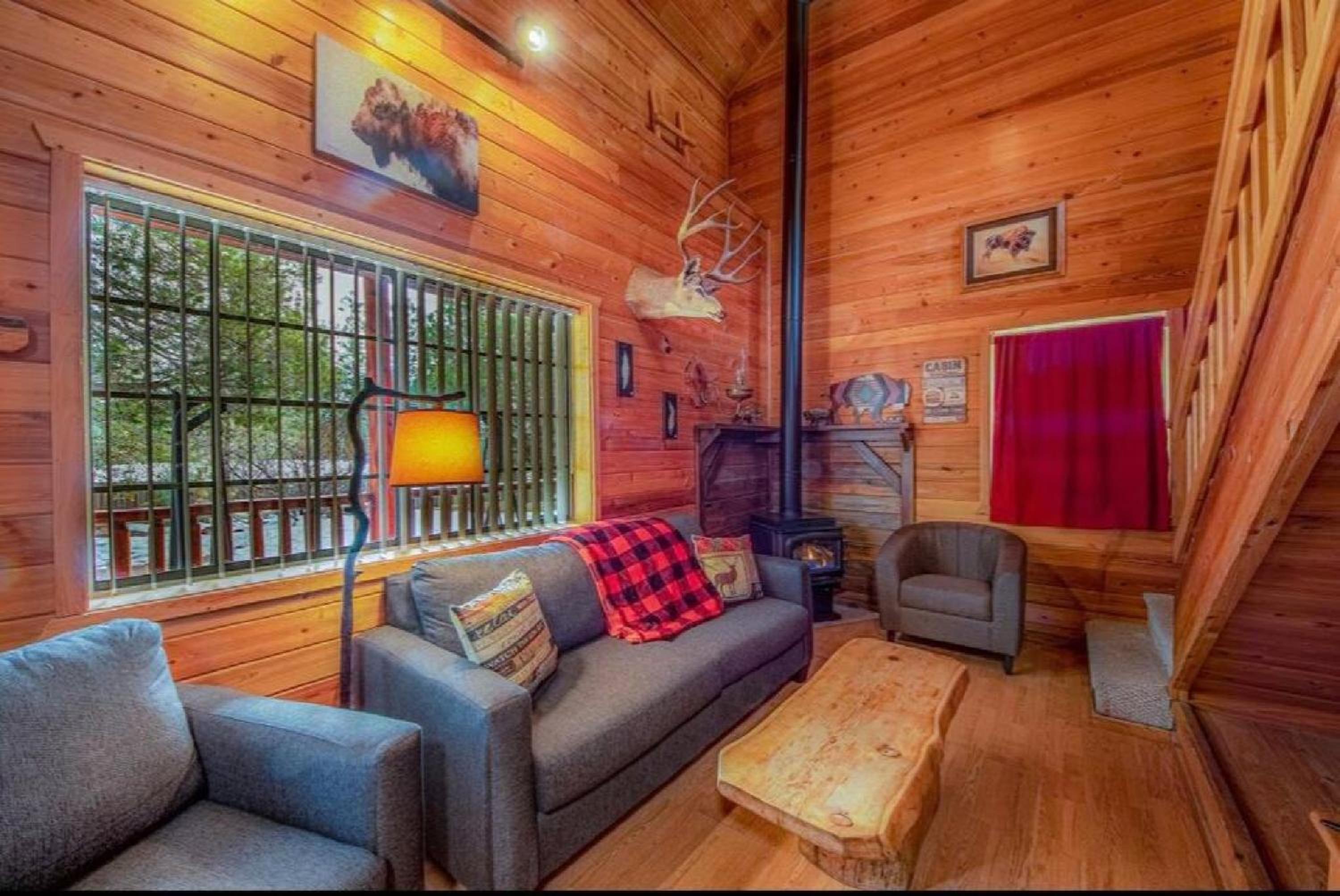 Cabin #1 Buffalo Herd -Pet Friendly - Sleeps 6 - Playground & Game Room view 3