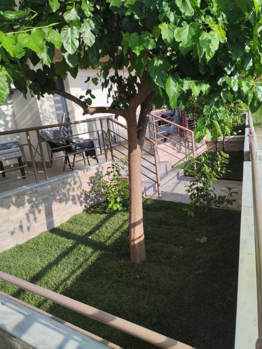 Avellana Royal Suites photo 5