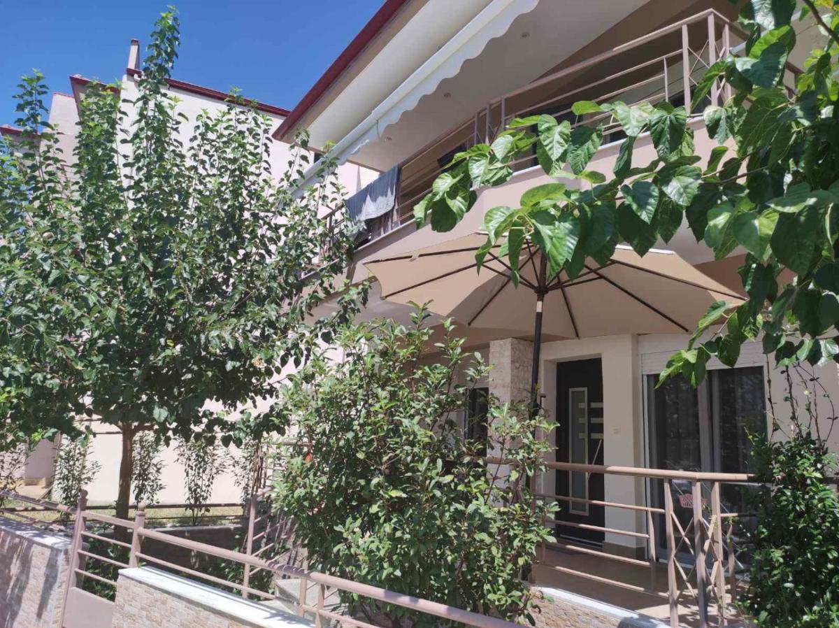 Avellana Royal Suites photo 4