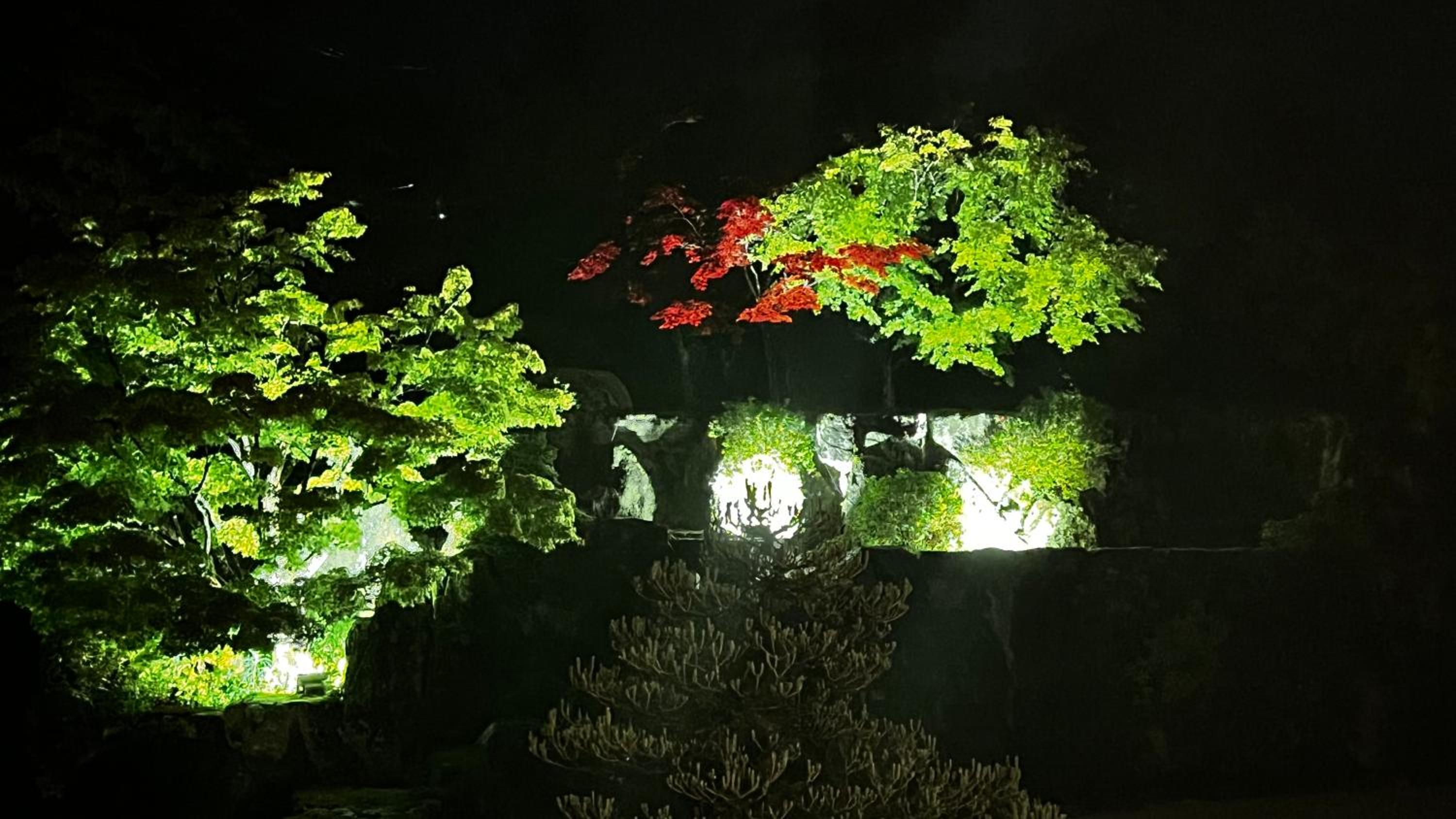 NARA japanese garden villa view 5