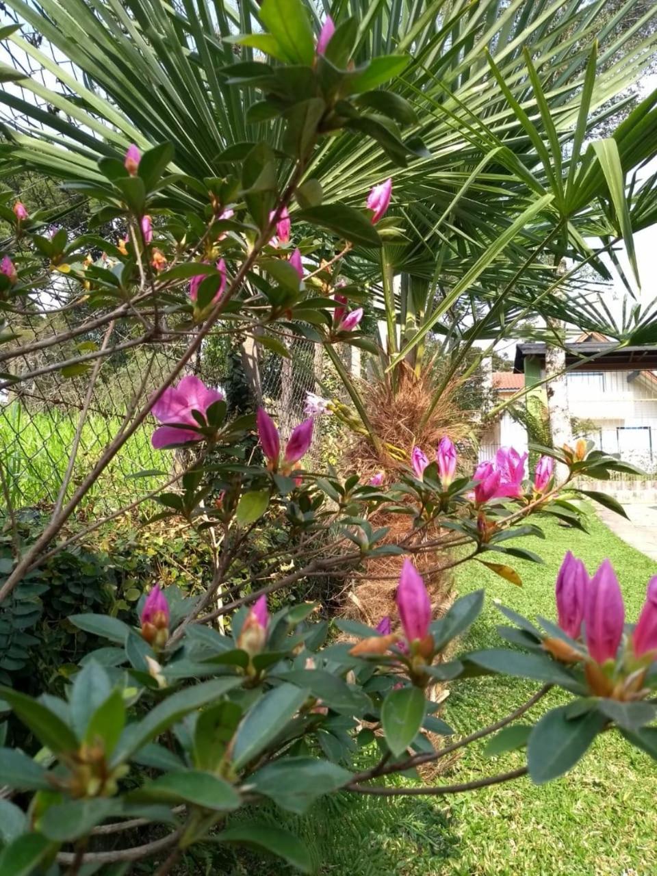 Casa e Flat Conforto Gramado