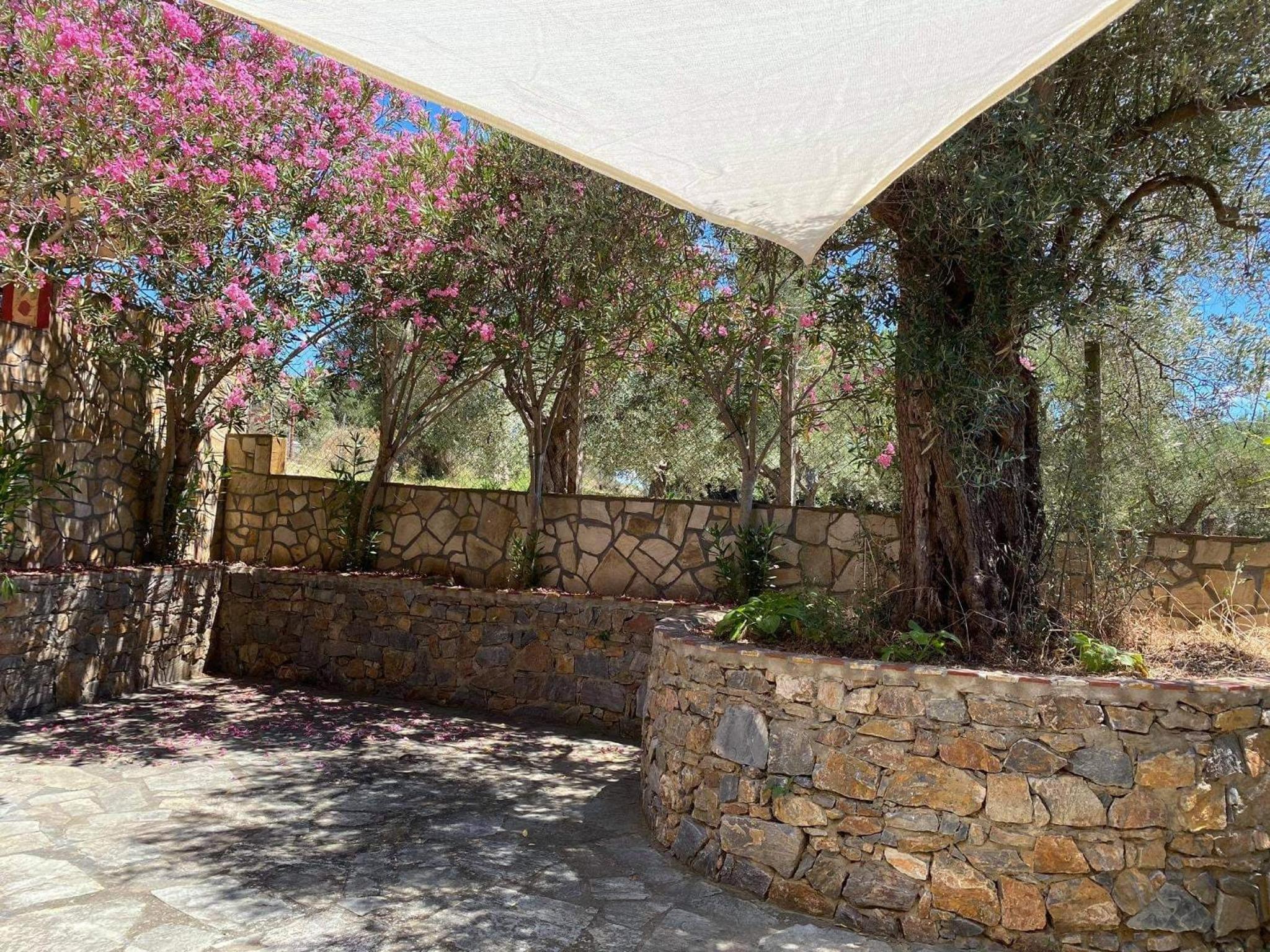 Agia Paraskevi Villa Olive view 4