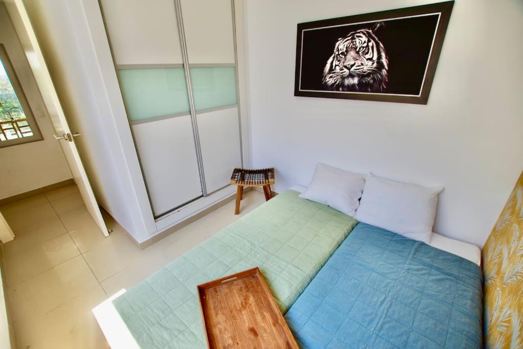 V&V LLORET- Villa Cinta view 5