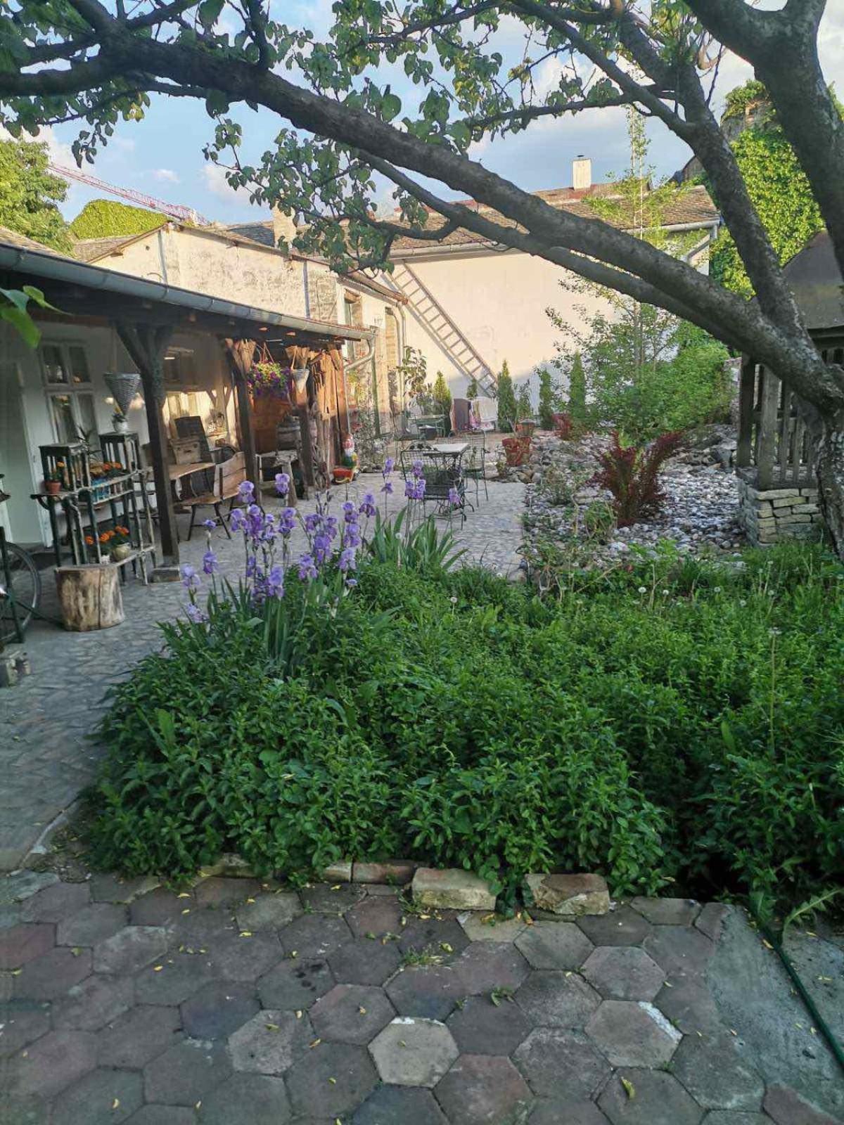 Photo 27