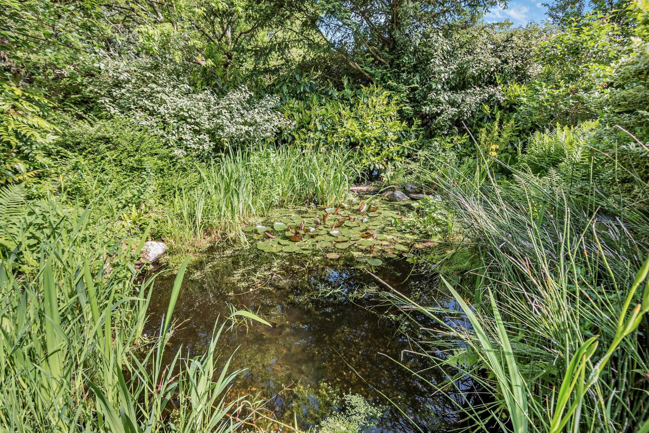 Photo 32