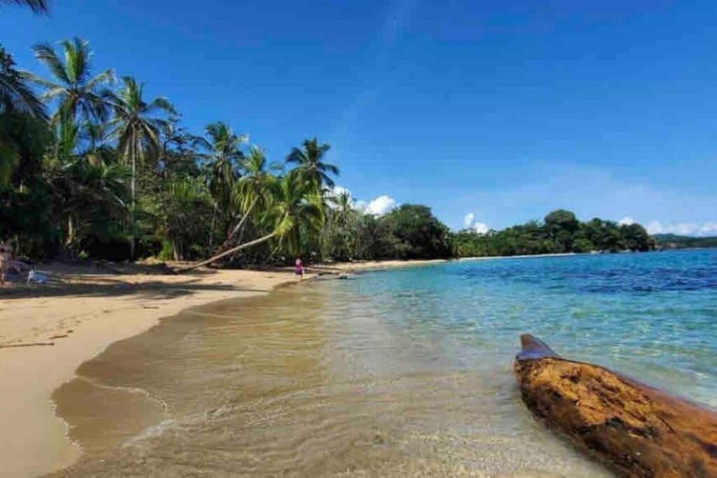 Villa Ángel (AC/Internet/Pool/Punta Uva beach)