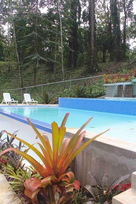 Villa Ángel (AC/Internet/Pool/Punta Uva beach)