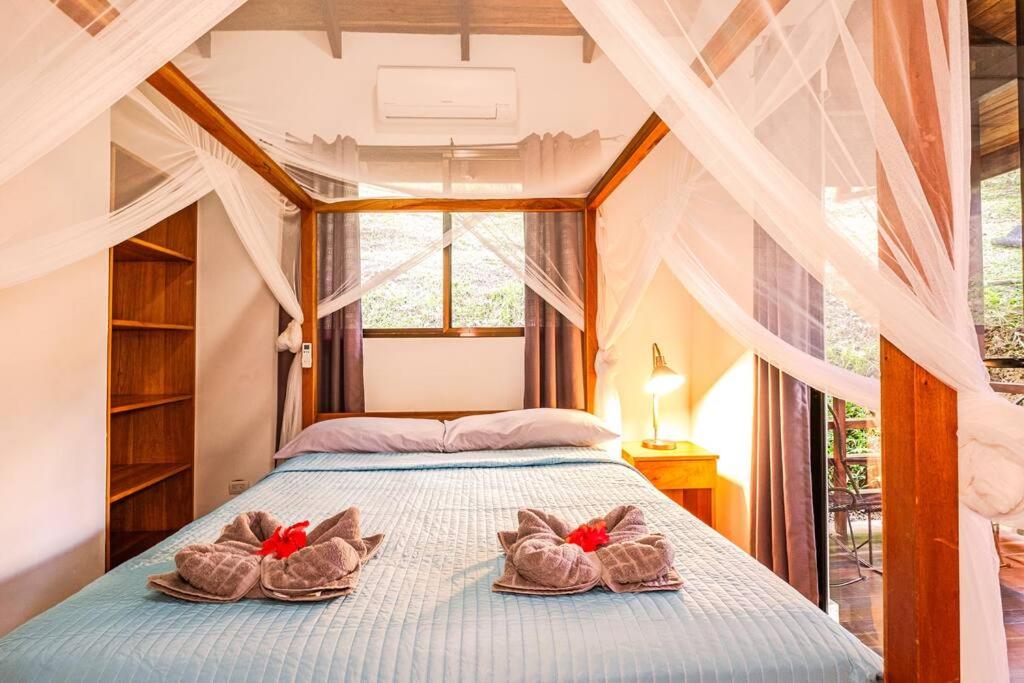 Villa Ángel (AC/Internet/Pool/Punta Uva beach)