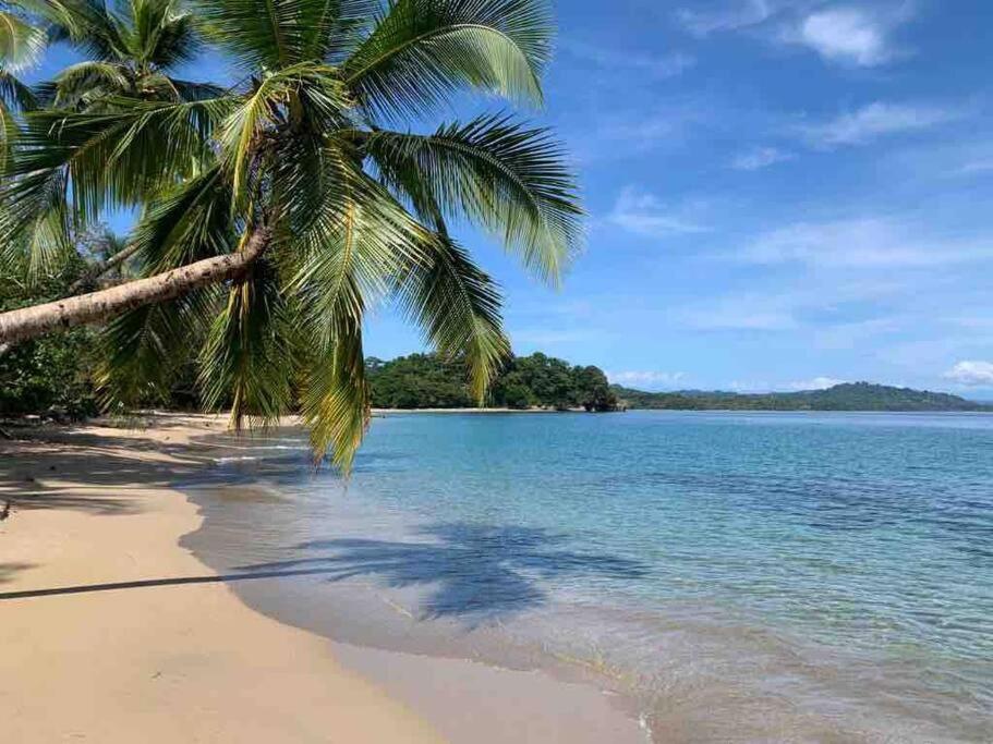 Villa Ángel (AC/Internet/Pool/Punta Uva beach)