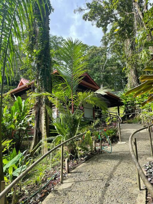 Villa Ángel (AC/Internet/Pool/Punta Uva beach)