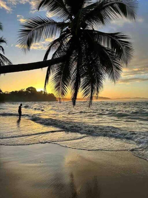 Villa Ángel (AC/Internet/Pool/Punta Uva beach)