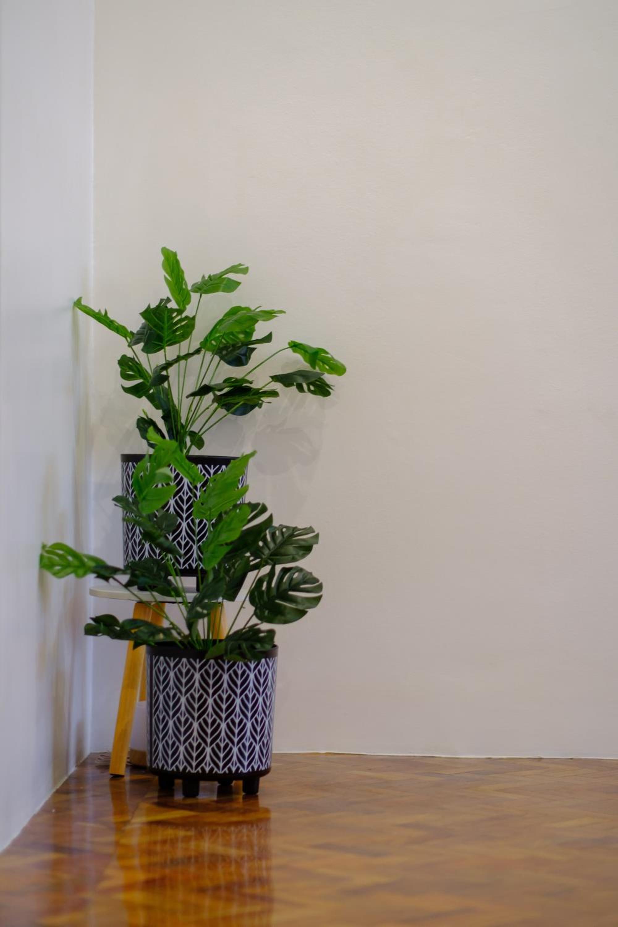 Photo 37