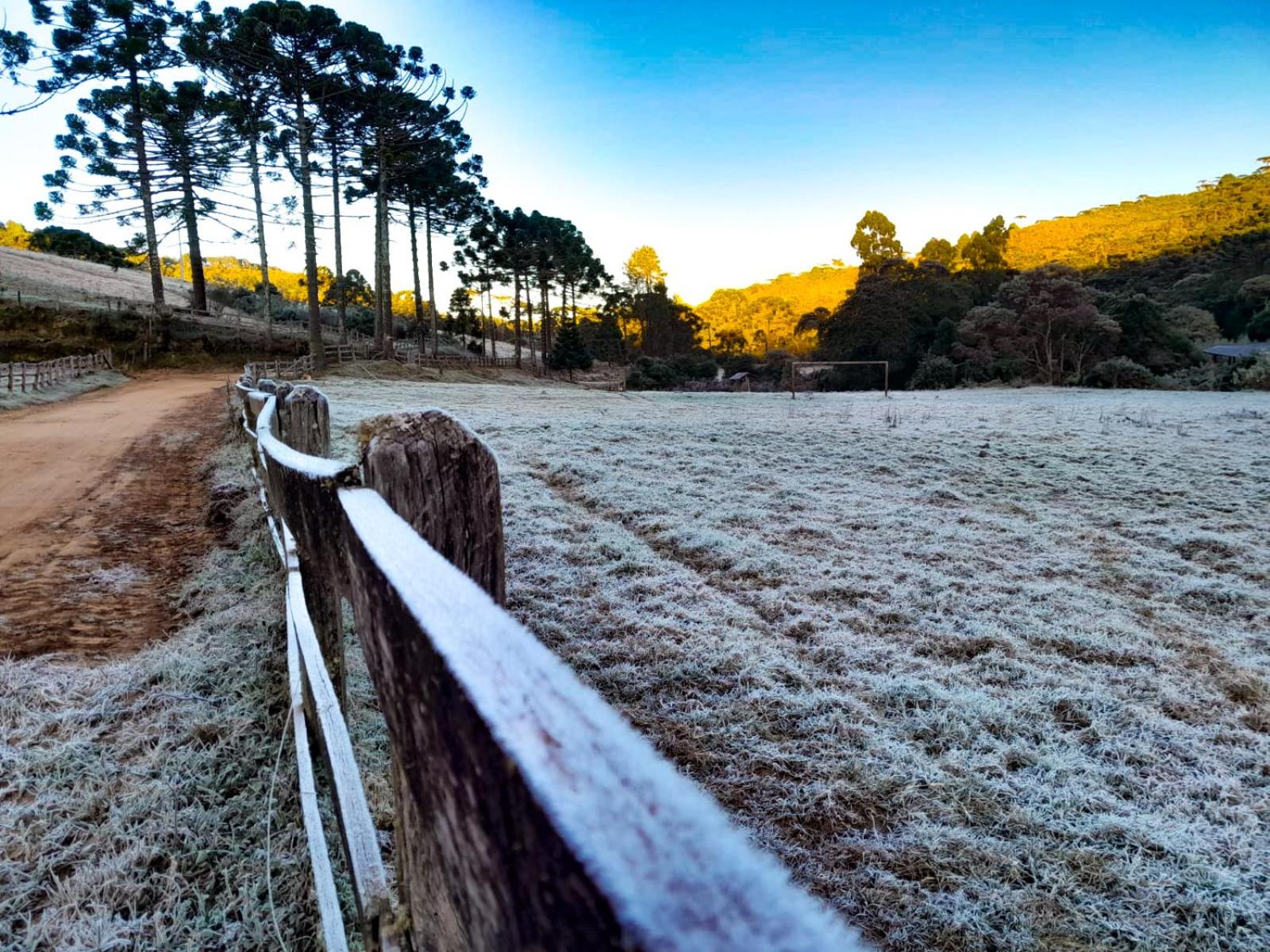Chalé Refúgio das Araucárias view 5