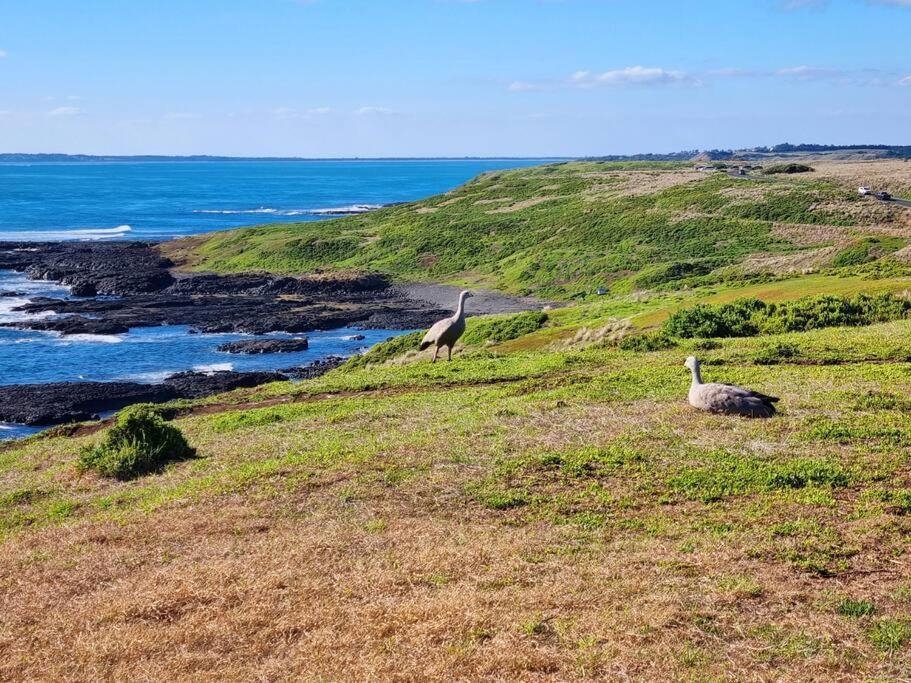 Blue Bay View Surf & Sauna Stay