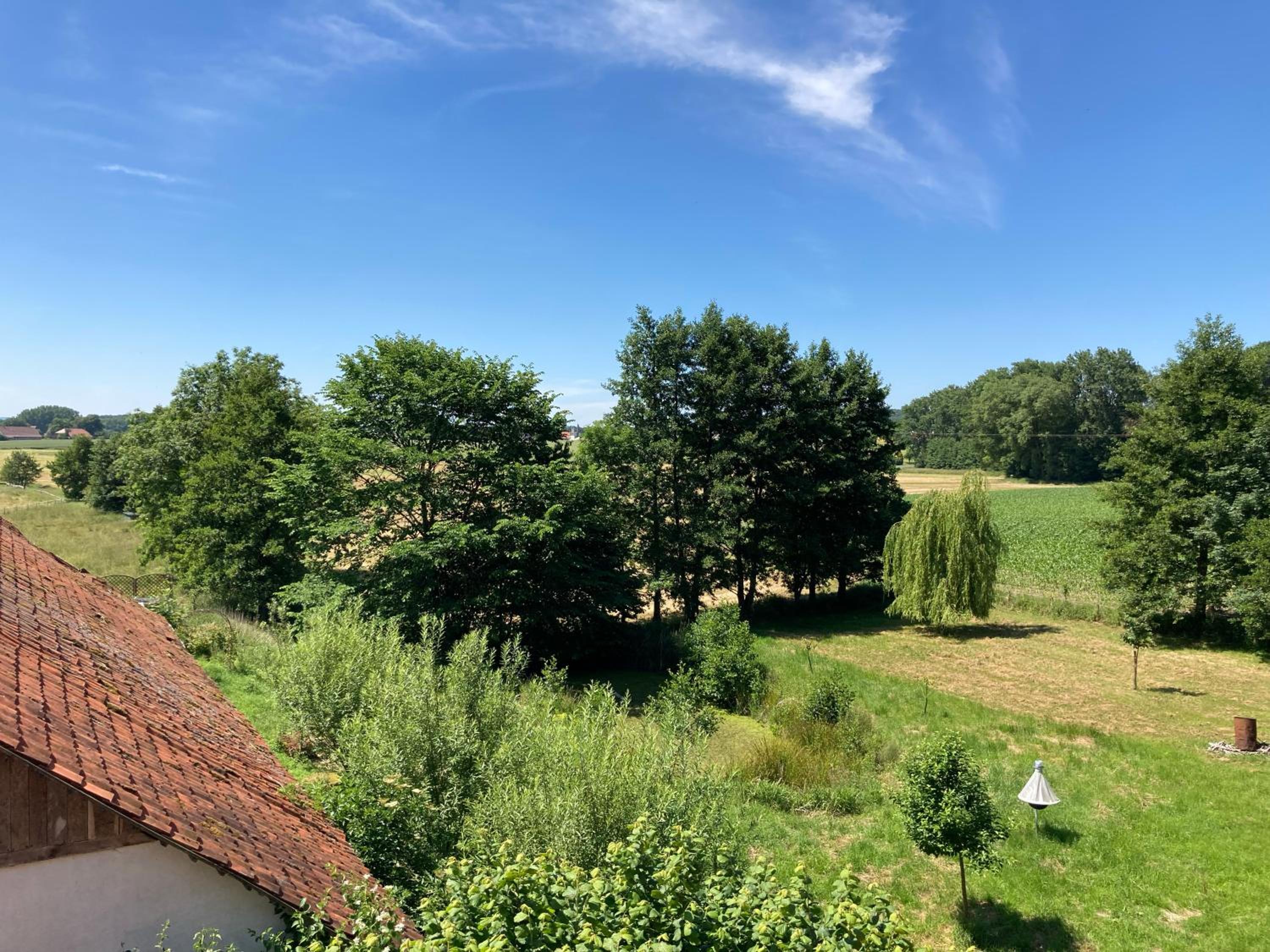 In der Wassermühle