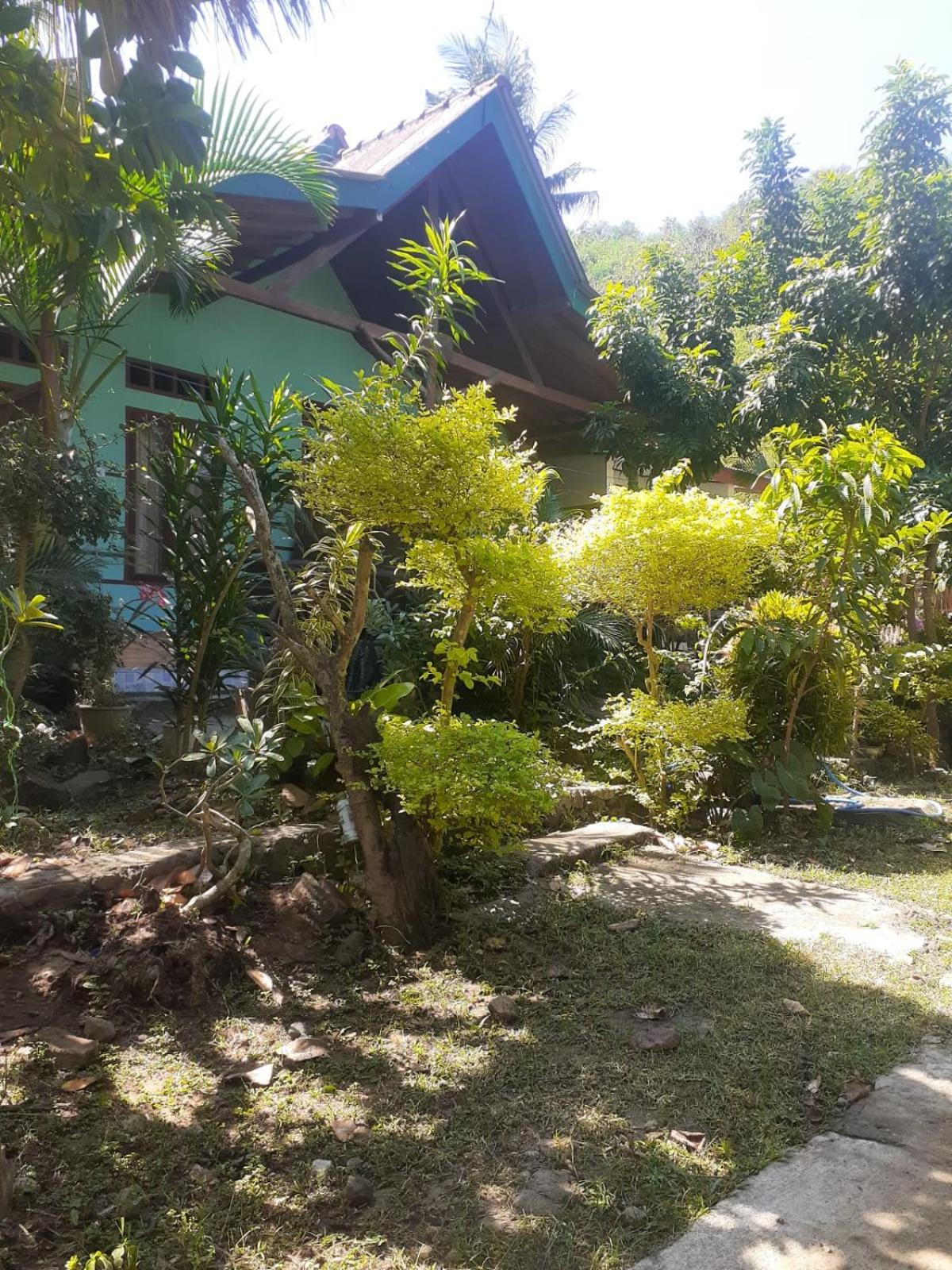 Nadil Homestay