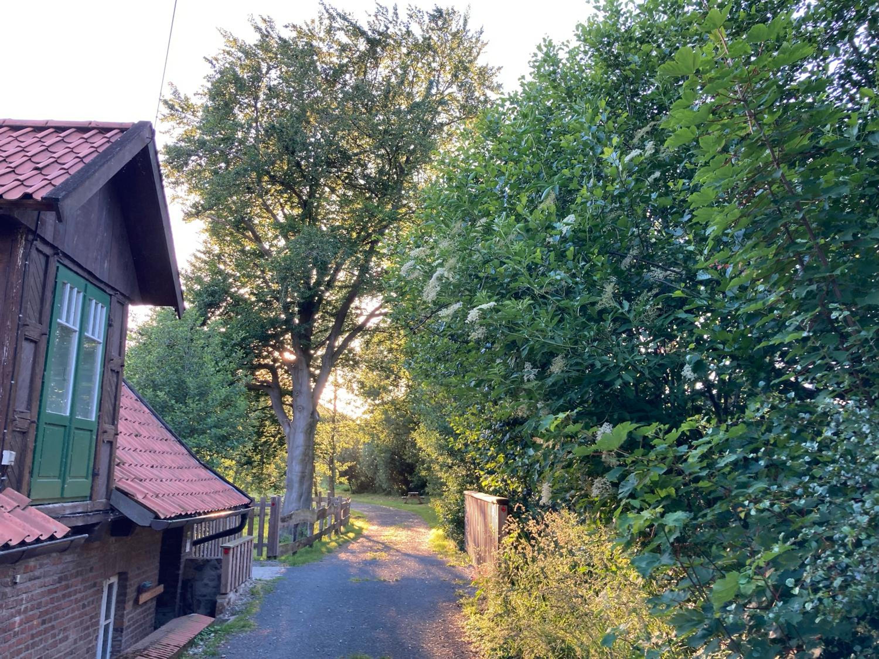 In der Wassermühle