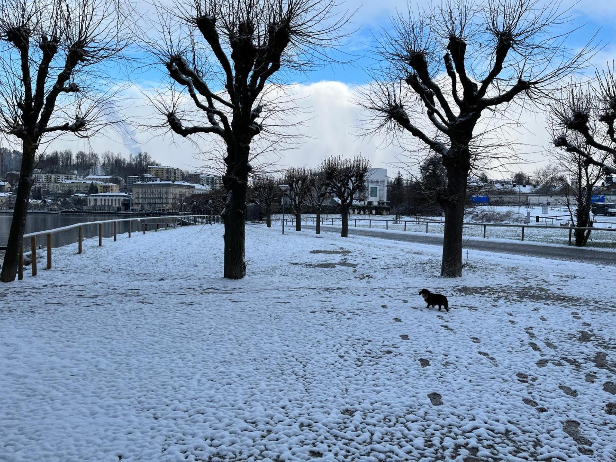 Altstadtjuwel in Gmunden am Traunsee