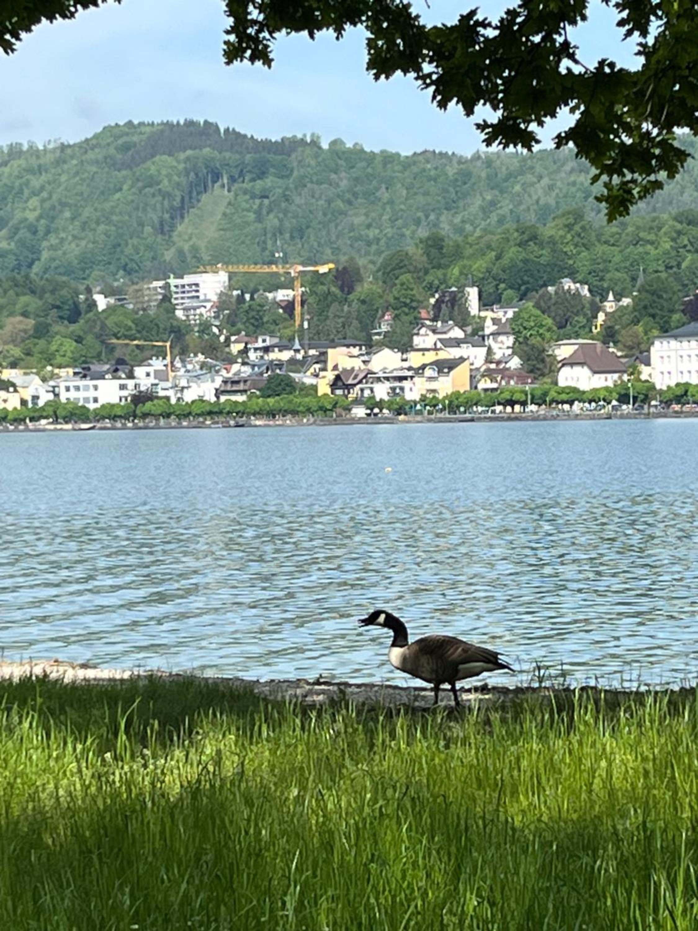 Altstadtjuwel in Gmunden am Traunsee