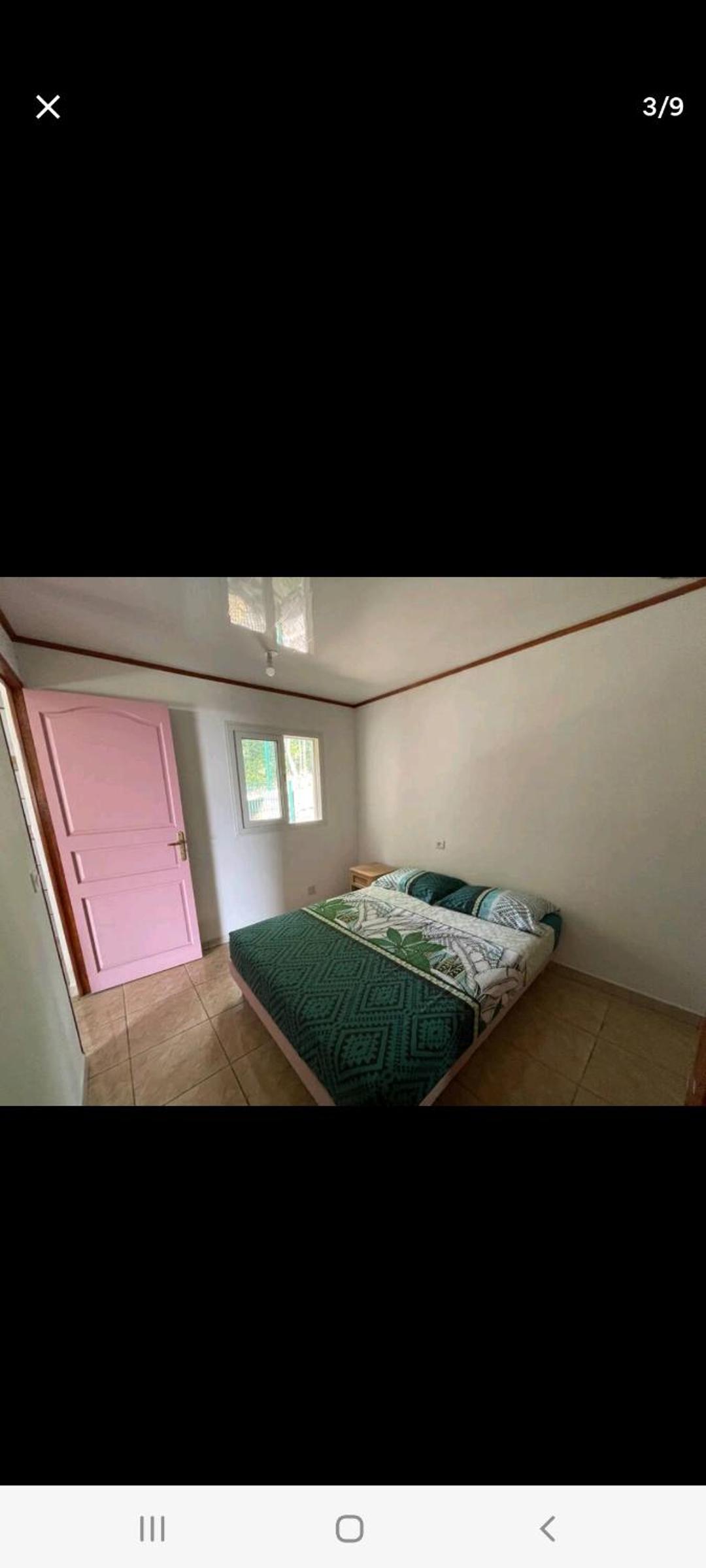 Maison des bambous view 4