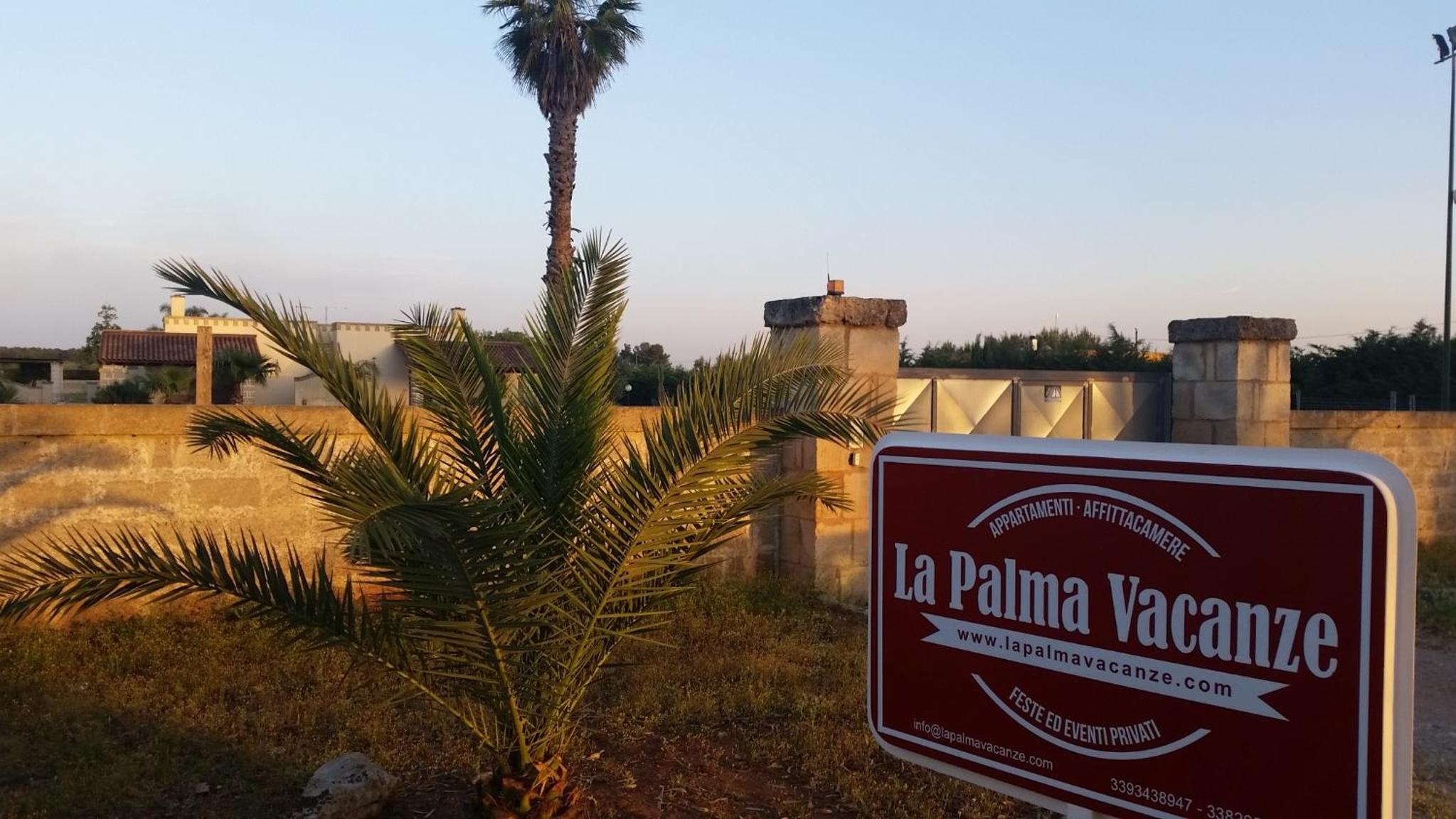 La palma vacanze