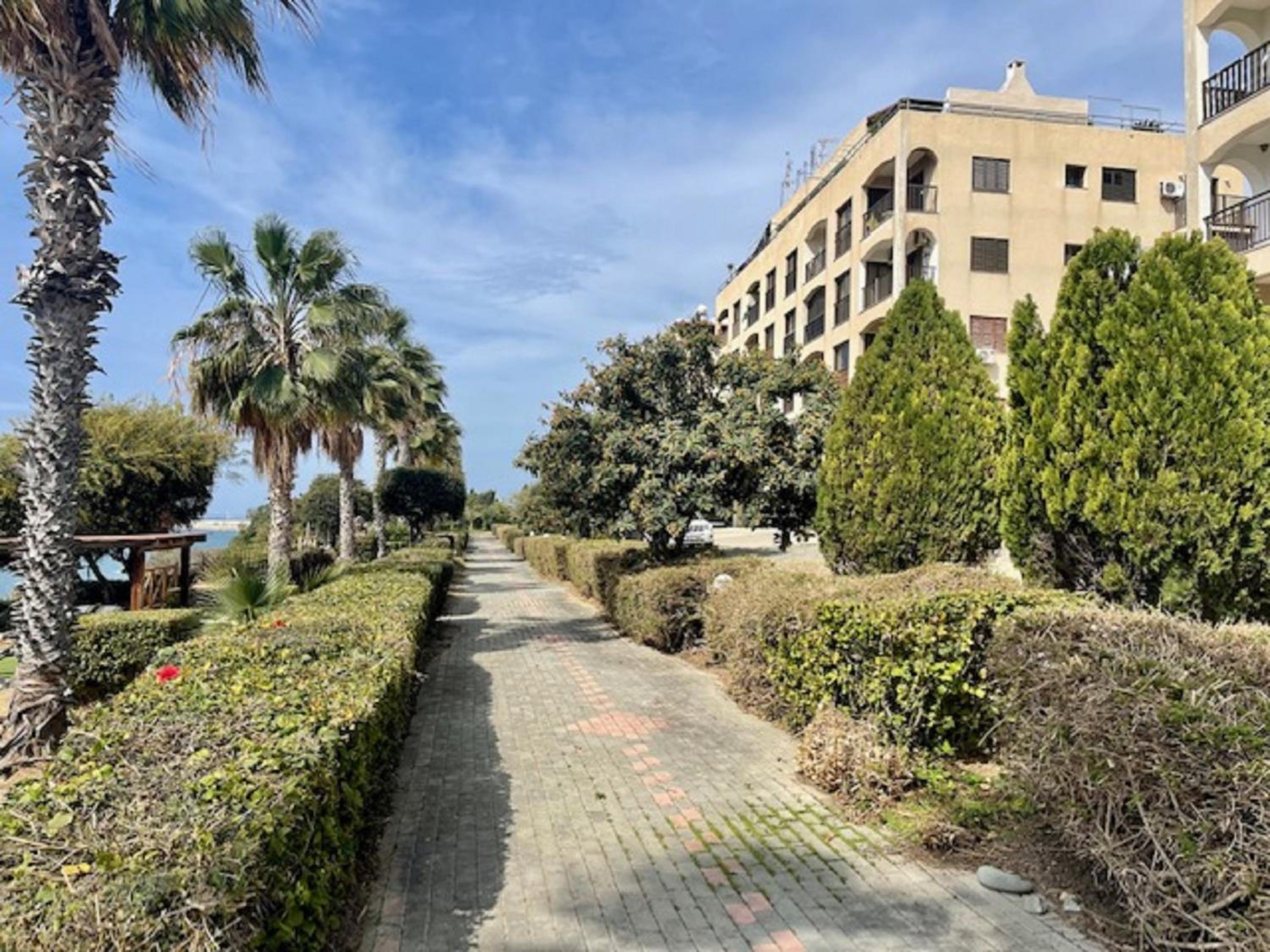 Seaside Studio Zygi