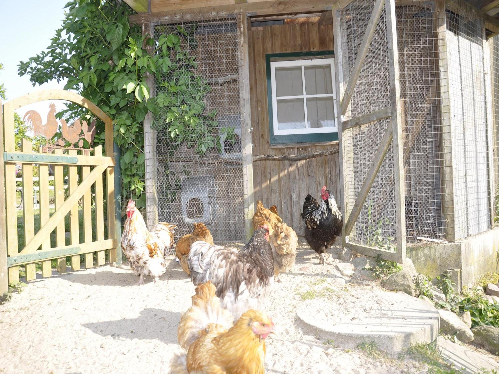 Ferienwohnung Mittelangeln
