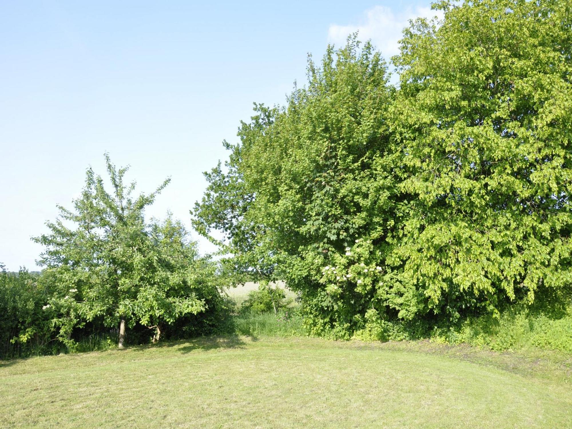 Ferienwohnung Mittelangeln