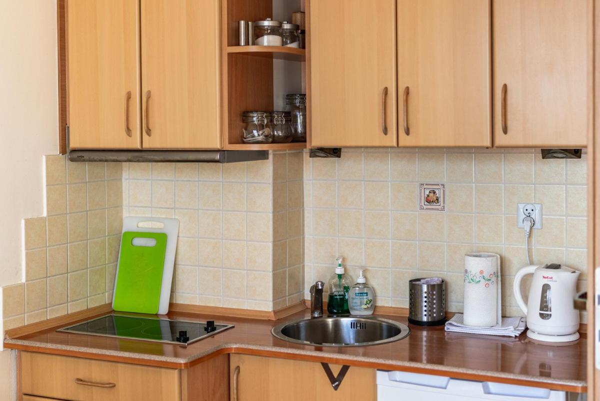 ZAKOHOME- Apartamenty Kościelisko Centrum view 2