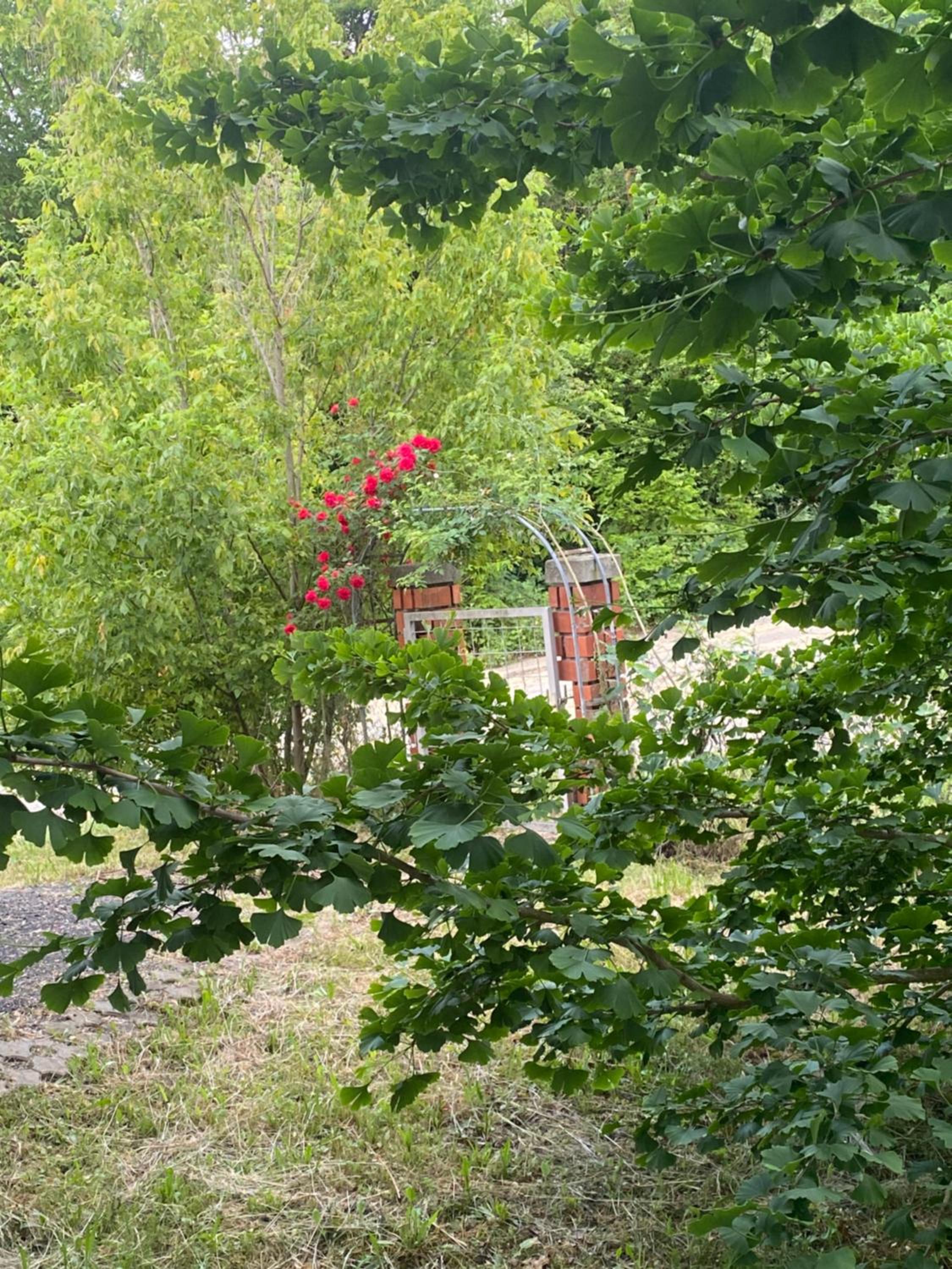 Photo 34