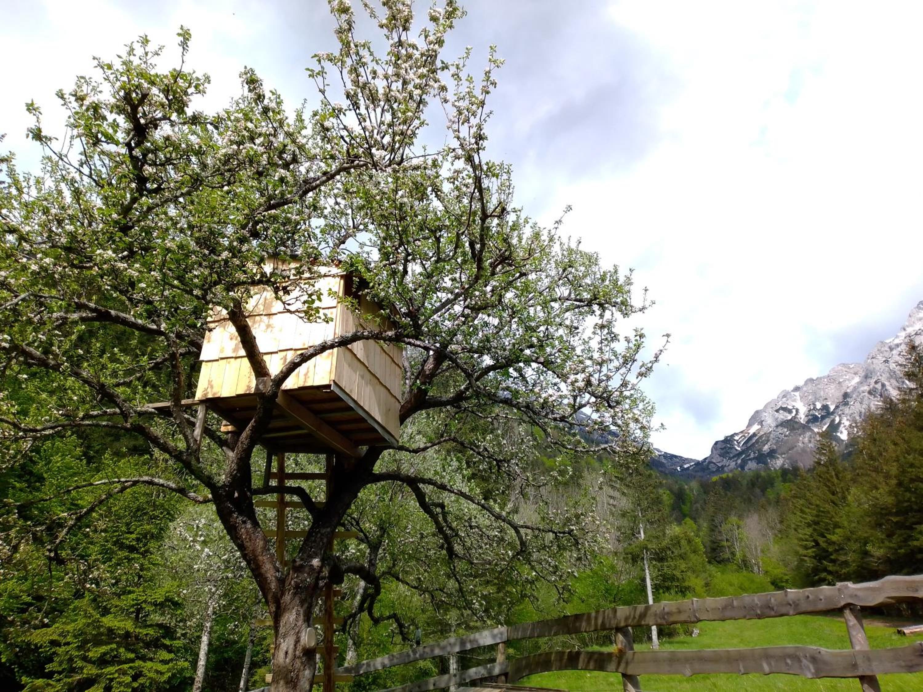 Glamping Grintovec view 3