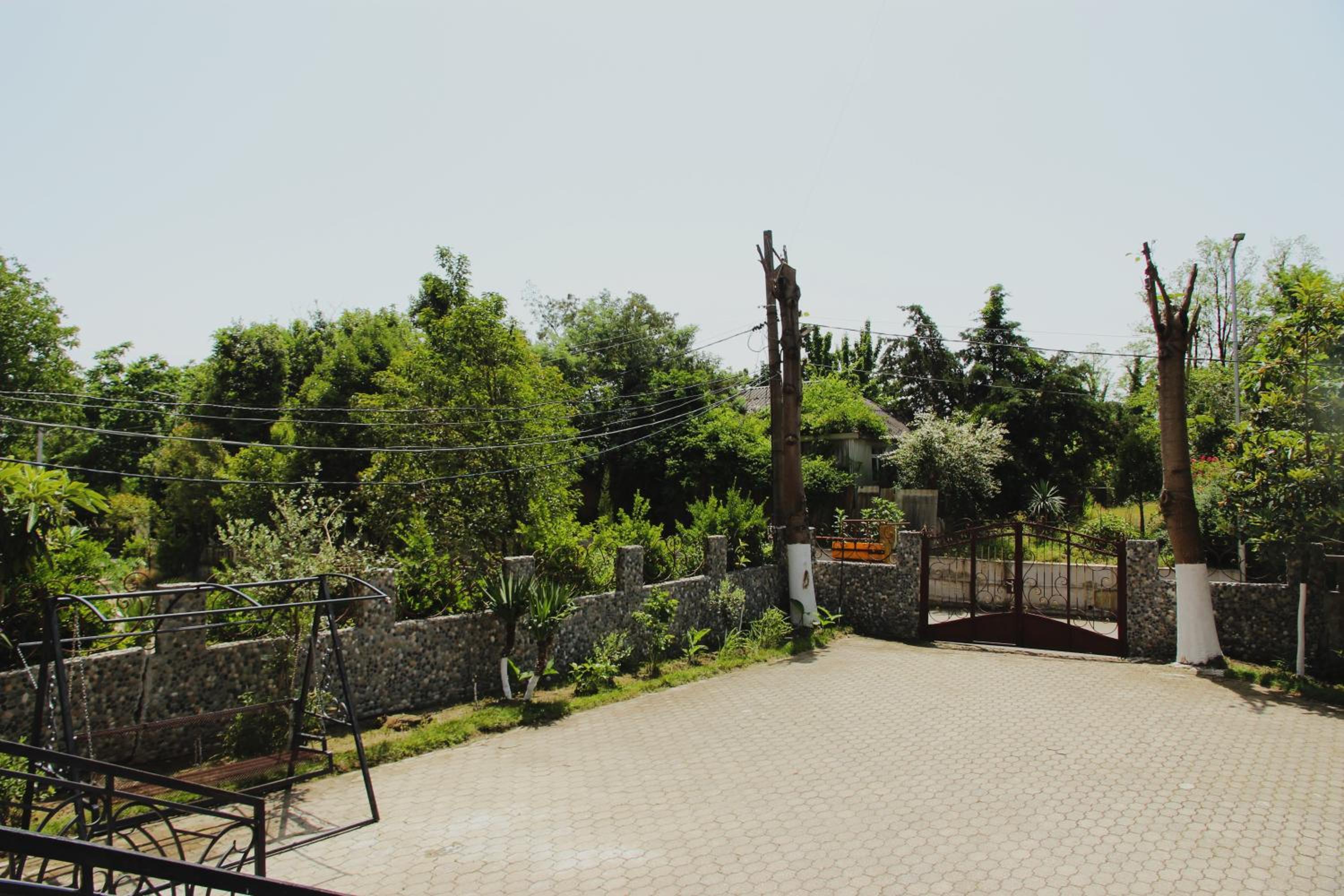 Photo 7