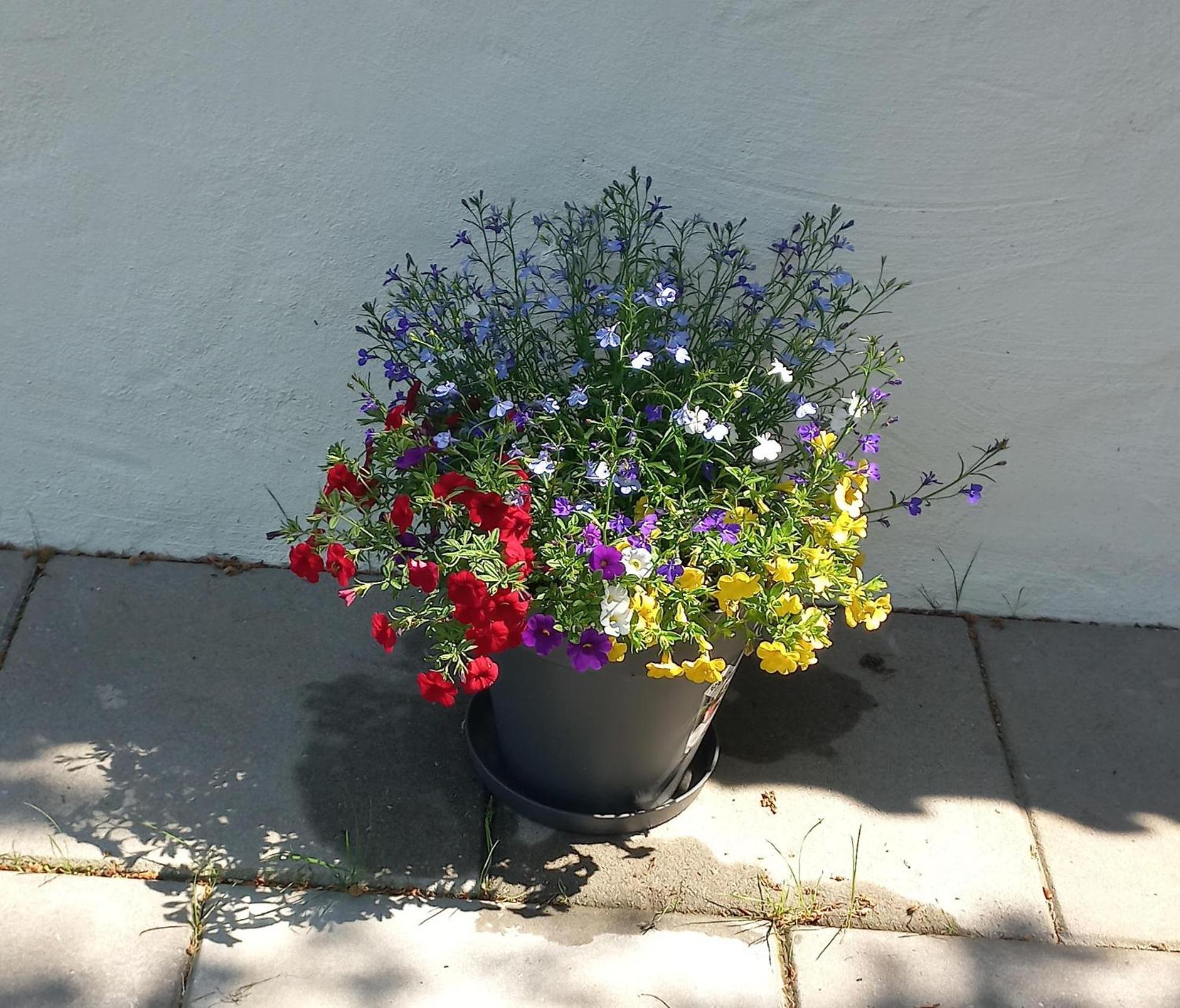 Photo 39