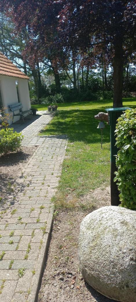 Photo 33