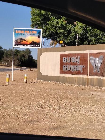 Bush Pillow Guest House