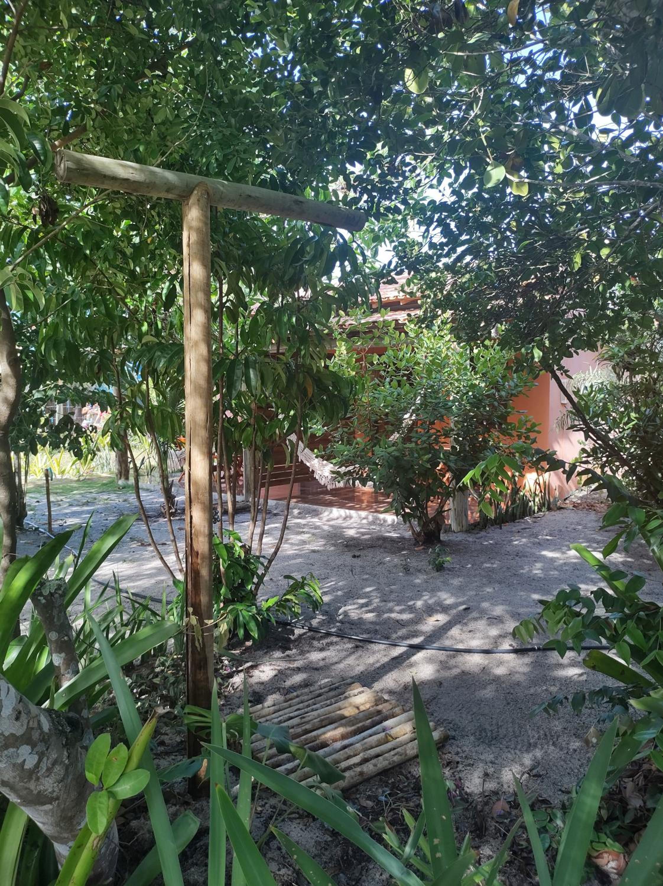 Photo 31