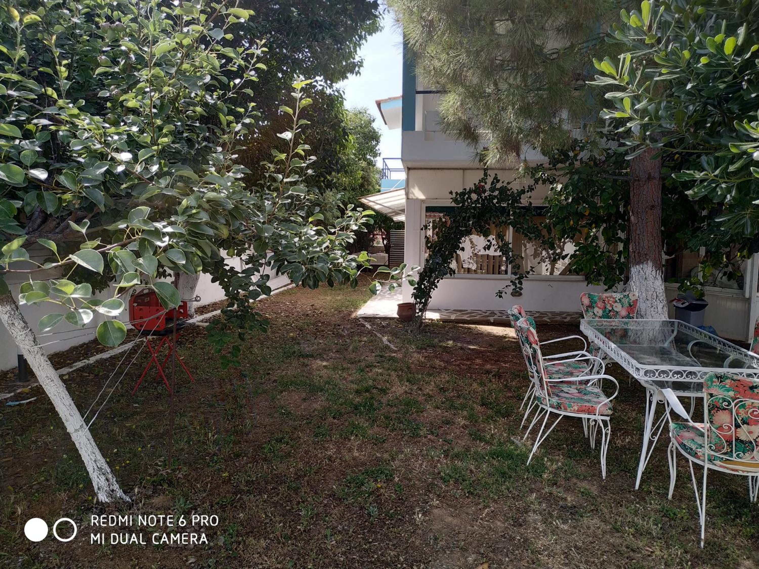 Muses apartments