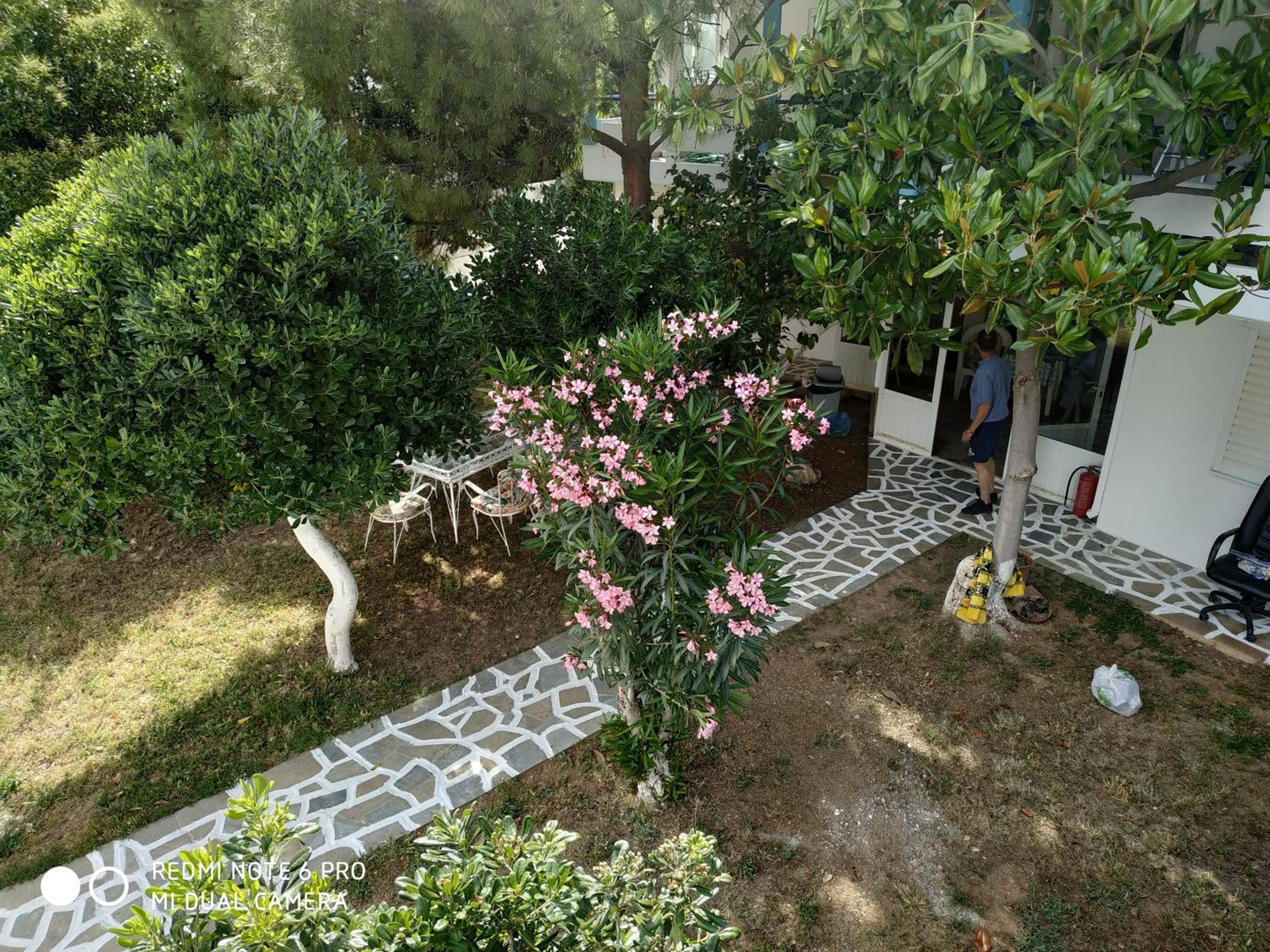 Muses apartments