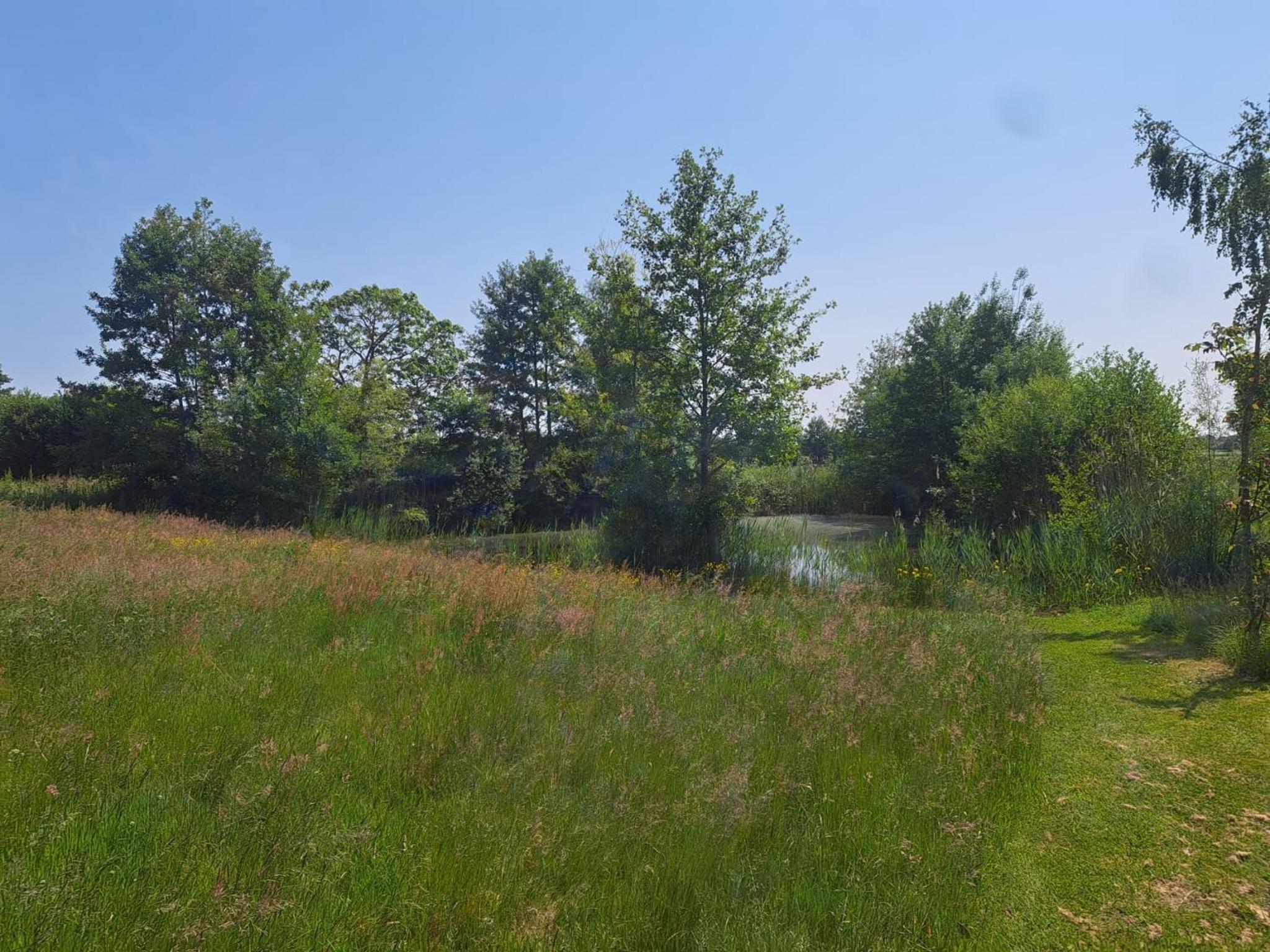 Landelijke gelegen Lodge view 2