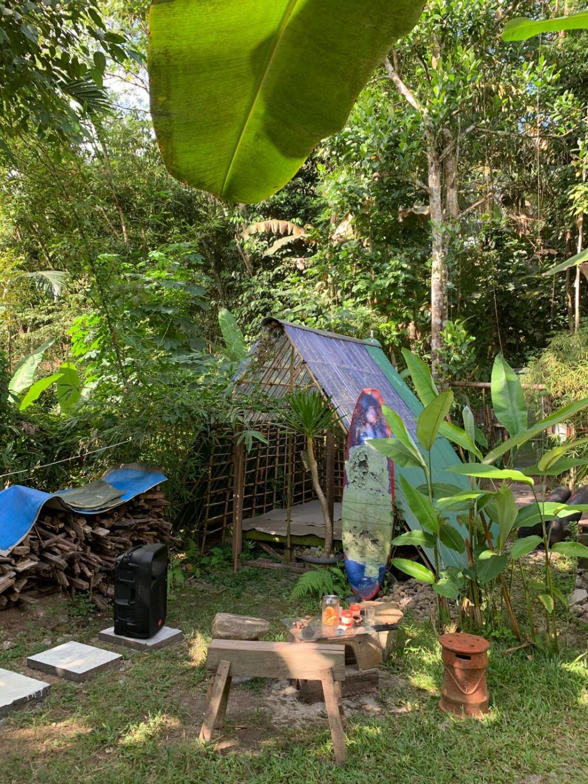 hijau