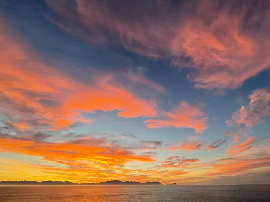 Vitamin-Sea view 3