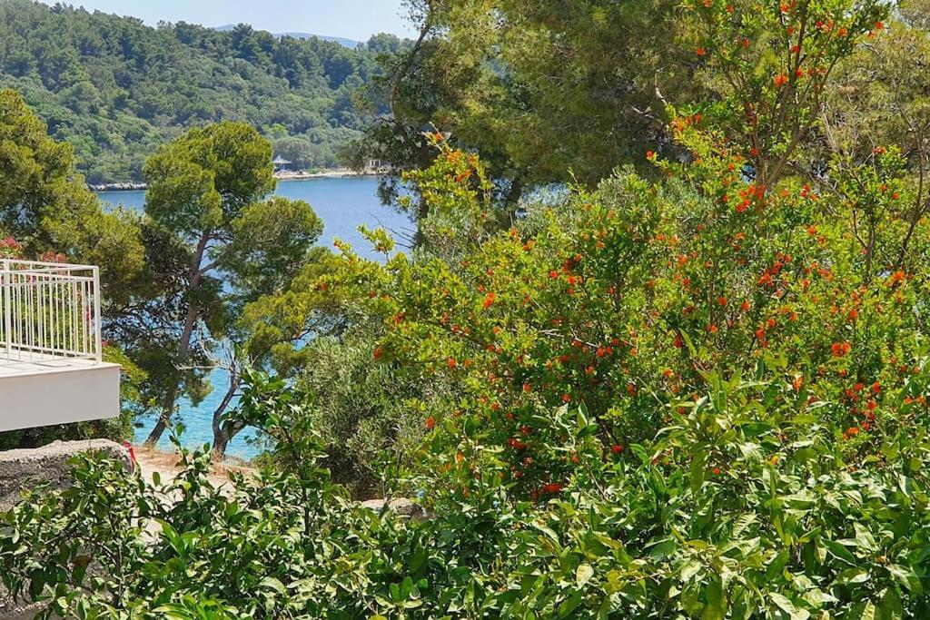 Dolce Villa, votre maison en front de mer view 2